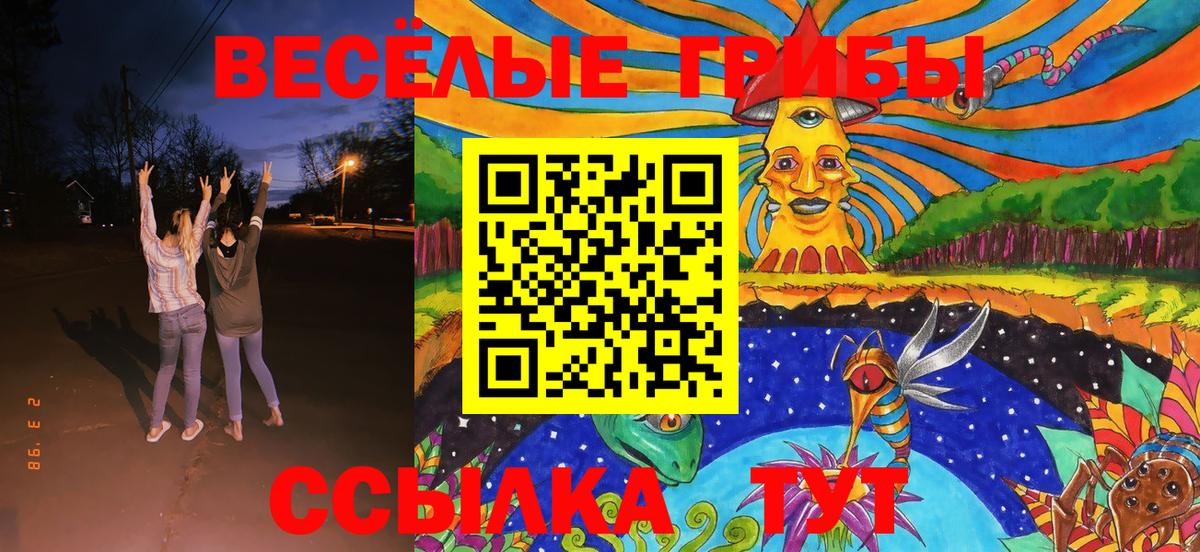 Псилоцибиновые грибы Psilocybine cubensis Чехов