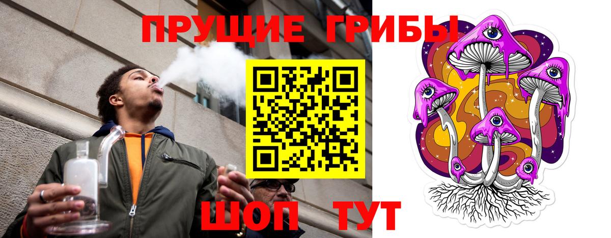 Чехов  Псилоцибиновые грибы Cubensis  Вход с VPN 